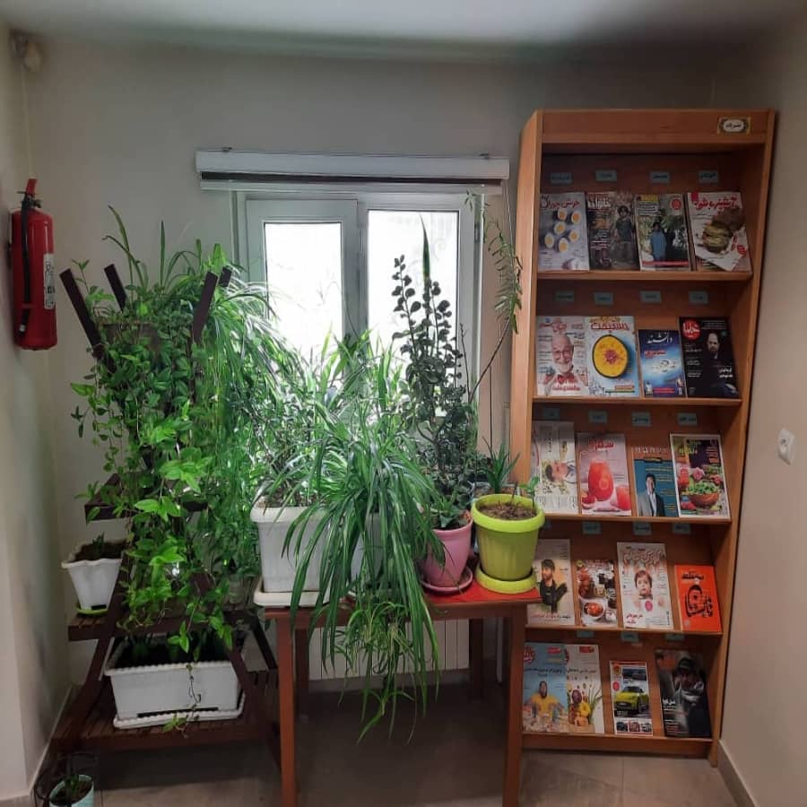 بخش نشریات